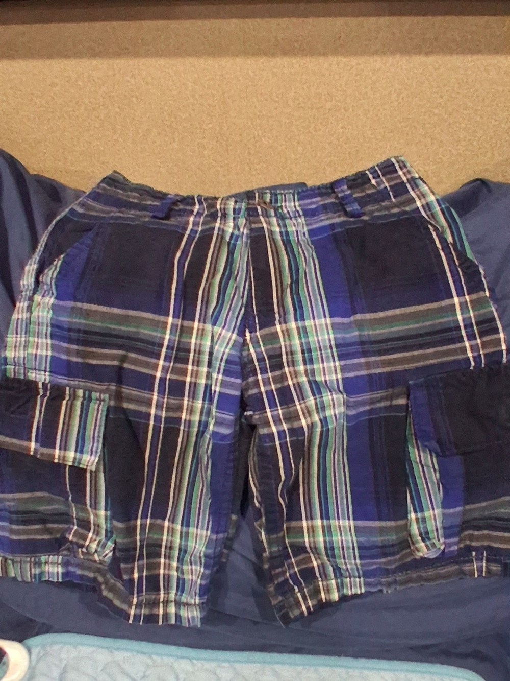 Levi's Blue Plaid Cargo Shorts